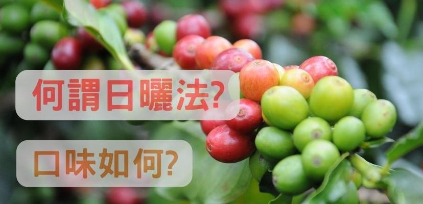 什麼是咖啡日曬法? 口味如何?